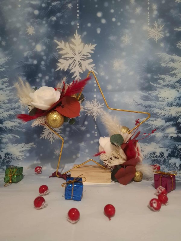 b9e07584-61e0-434b-83a5-7daf11503495 Étoile de Noël