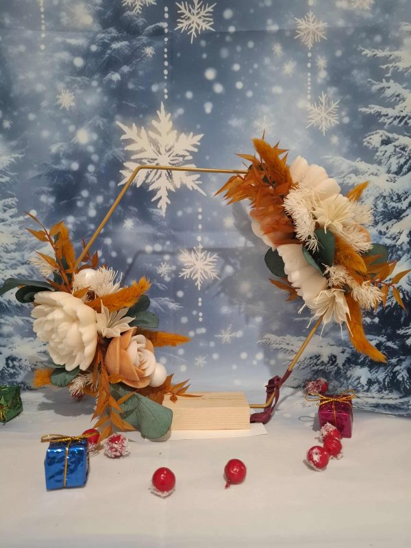 65f18ad4-d0a1-4513-bec8-6209e679673d Hexagone de Noël