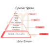 Pyramide Olfactive Scorpion Suspension parfumée ~ Scorpion, La profondeur de l’eau ♏