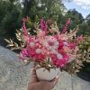 af62e9cf-ec15-4ea3-82be-ca71fa4f743e Composition Octobre Rose